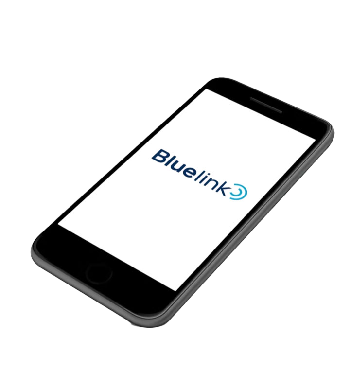 Hyundai Bluelink Hany Logo